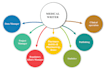 write professional medical and scientific content