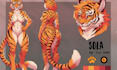 create furry reference sheet nsfw ref sheet furry ref sheet oc anthro character
