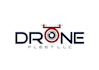 design a professional drone logo for your business