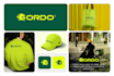 design logo, brand identity, and brand style guidelines