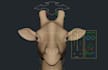 3d rigging professionally in blender and maya