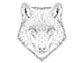 draw your wolf character