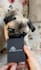 create engaging pet ugc video ads with my charismatic pug