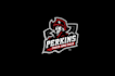design gaming mascot logo