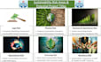 create an effective microsoft powerpoint presentation