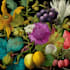 draw realistic plants, vegetables, fruits