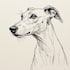 draw a beautiful custom digital pet portrait