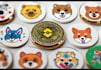 design professional crypto and cryptocurrency token logo