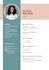 professionally format and design your resume or CV