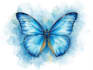 draw custom digital or watercolor butter flay illustrations
