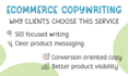 write SEO product descriptions for your ecommerce store