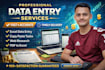 do data entry, copy paste, web research and excel data entry