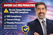 help you avoid common llc mistakes, irs penalties for US company registration