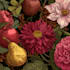 draw realistic plants, vegetables, fruits