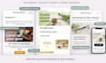 build high converting personalized mailchimp email templates