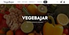 create SEO optimized wordpress newspaper or magazine website