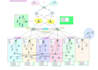 design ccna packet tracer lab projects and topology