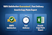 data entry, excel, copy paste  virtual assistant service