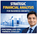 provide cfo level strategic financial analysis for business growth as a US CPA