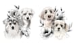 draw tattoo design professional
