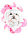 draw cute watercolor pet portrait