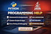 create python java coding scripts and automation