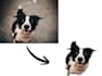 remove the background from your image
