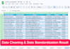 do accurate excel data entry, data cleaning and web research