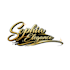 create a custom hand lettering logo design
