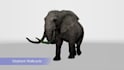3d rigging and animation professionally in blender