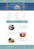 create a premium, luxury and modern wordpress website for you
