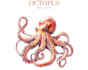 create high quality watercolor funny octopus logo