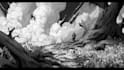 draw black and white illustrations