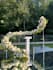 design realistic 3d wedding ceremony backdrop and decor