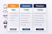 design a professional website with SEO setup