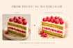 do watercolor bakery illustrations for menus