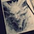 concept art for dragons and monsters, creatures