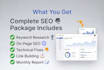 do professional SEO for google top ranking and traffic