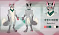 draw furry ref sheet, anthro ref sheet, nsfw ref sheet, fursona design,oc design