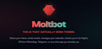 setup clawbot, openclaw clawdbot ai assistant moltbot ai set up on vps, mac mini