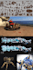 create 3d game props, weapons, and modular environment assets