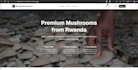 build modern responsive website using react and tailwind CSS