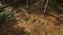 create procedural content generation and pcg systems in unreal engine 5, ue5