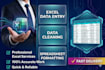 do professional microsoft excel data entry and data analysis