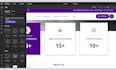 fix webflow issues, redesign layout, optimize your website