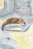 illustrate beautiful childrens book illustrations