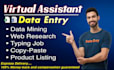 do data entry, copy paste, typing and excel data entry