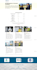 design a professional wordpress blog website with elementor