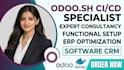 provide expert odoo consultancy and functional setup erp ci cd
