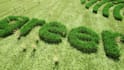 do intro video for gardening company